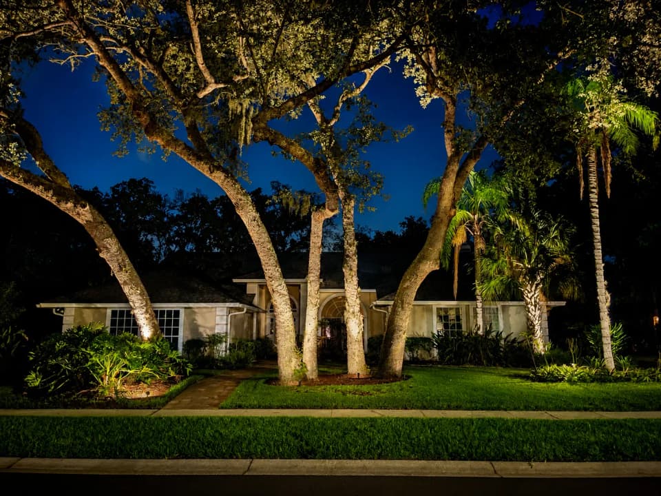 Architectural tree uplighting on mature oaks in Central Florida
